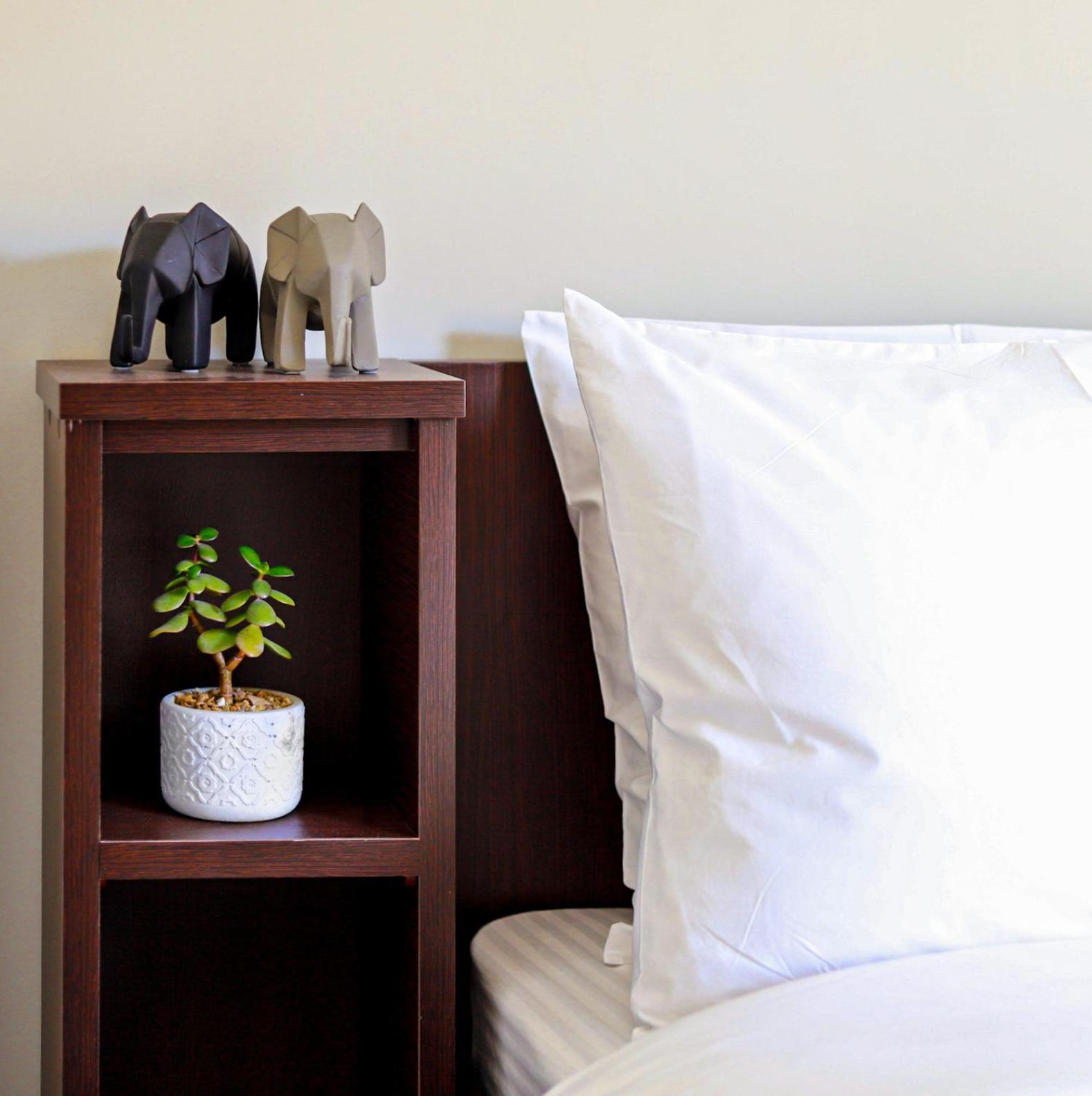 Cutie Studio Apartment In Koukaki أثينا المظهر الخارجي الصورة
