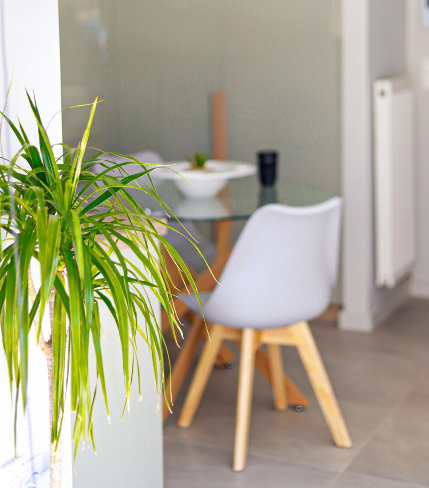Cutie Studio Apartment In Koukaki أثينا المظهر الخارجي الصورة